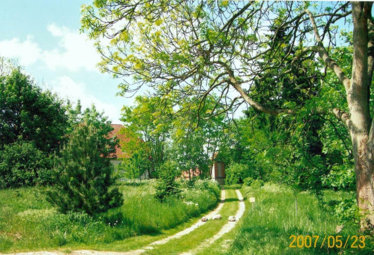 Appartamento Gutshaus Alt-Jargenow Alt Jargenow Esterno foto